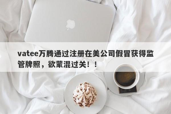 vatee万腾通过注册在美公司假冒获得监管牌照，欲蒙混过关！！