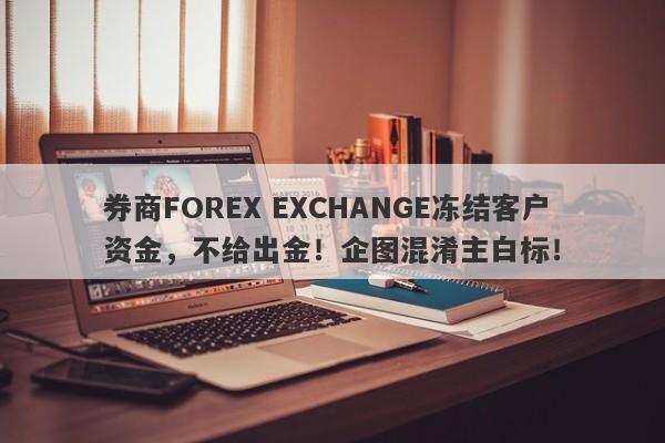 券商FOREX EXCHANGE冻结客户资金，不给出金！企图混淆主白标！