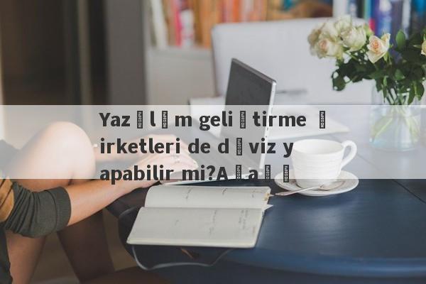 Yazılım geliştirme şirketleri de döviz yapabilir mi?Aşağı