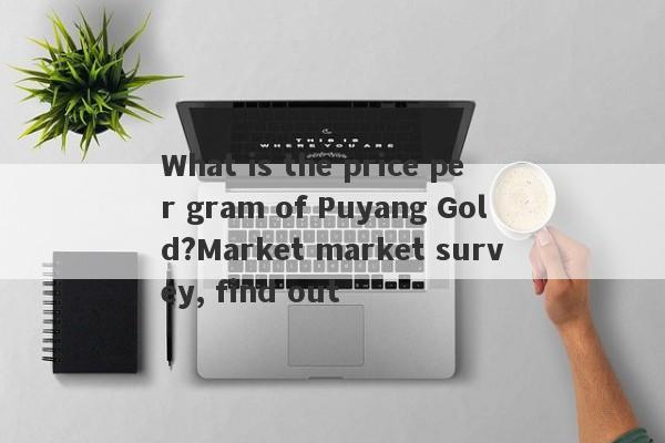 What is the price per gram of Puyang Gold?Market market survey, find out