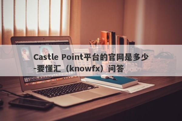 Castle Point平台的官网是多少-要懂汇（knowfx）问答