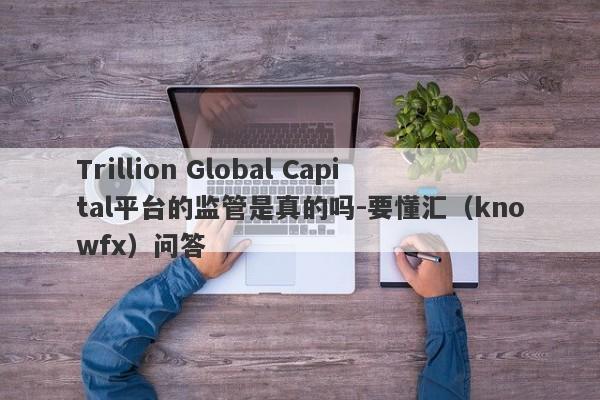 Trillion Global Capital平台的监管是真的吗-要懂汇（knowfx）问答