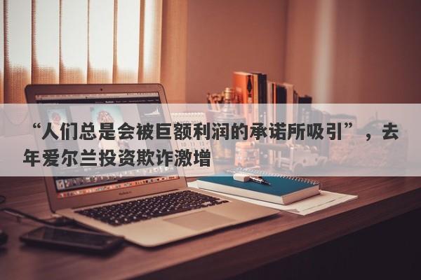 “人们总是会被巨额利润的承诺所吸引”，去年爱尔兰投资欺诈激增