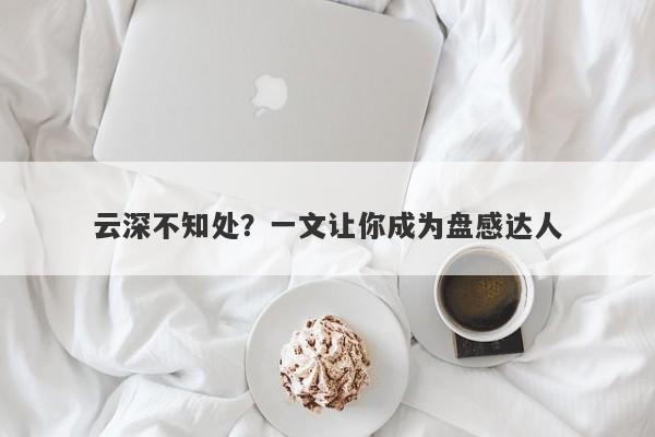 云深不知处？一文让你成为盘感达人