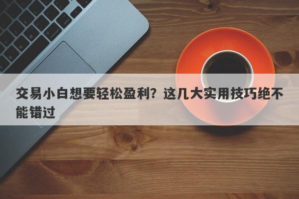 交易小白想要轻松盈利？这几大实用技巧绝不能错过