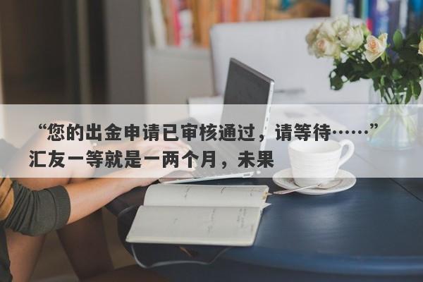 “您的出金申请已审核通过，请等待……” 汇友一等就是一两个月，未果