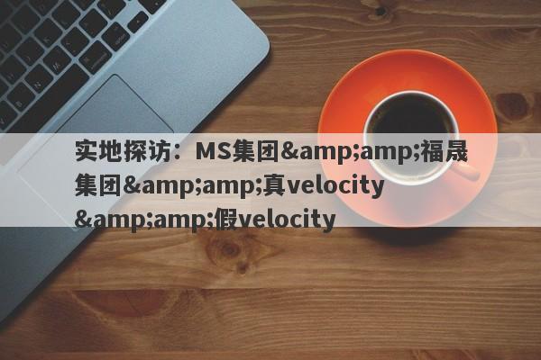 实地探访：MS集团&amp;福晟集团&amp;真velocity&amp;假velocity