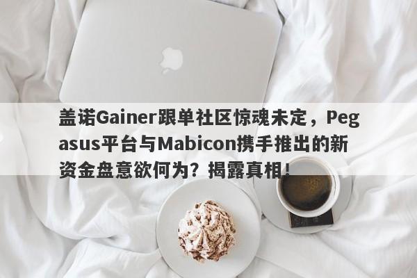 盖诺Gainer跟单社区惊魂未定，Pegasus平台与Mabicon携手推出的新资金盘意欲何为？揭露真相！