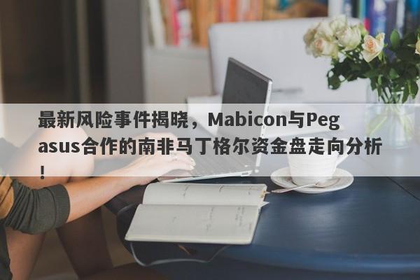 最新风险事件揭晓，Mabicon与Pegasus合作的南非马丁格尔资金盘走向分析！