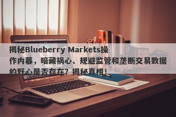 揭秘Blueberry Markets操作内幕，暗藏祸心、规避监管和垄断交易数据的野心是否存在？揭秘真相！