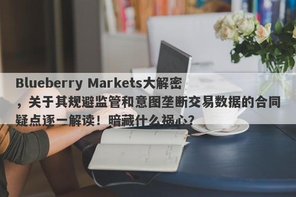 Blueberry Markets大解密，关于其规避监管和意图垄断交易数据的合同疑点逐一解读！暗藏什么祸心？