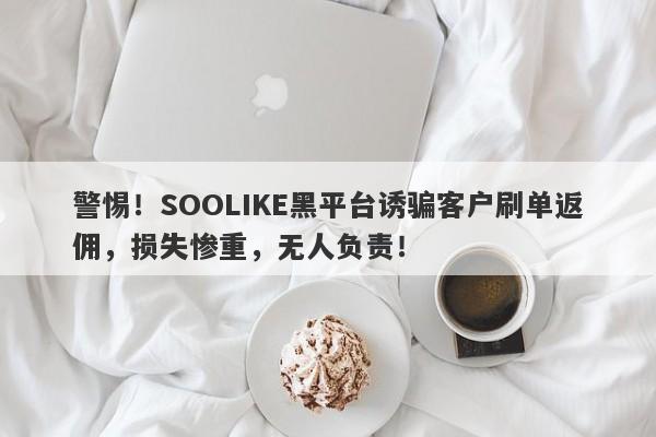 警惕！SOOLIKE黑平台诱骗客户刷单返佣，损失惨重，无人负责！