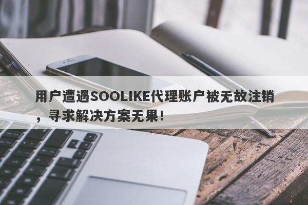 用户遭遇SOOLIKE代理账户被无故注销，寻求解决方案无果！