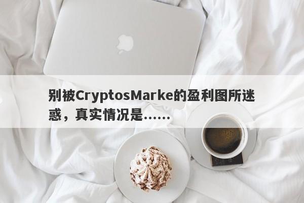 别被CryptosMarke的盈利图所迷惑，真实情况是......