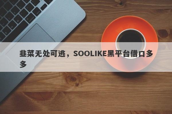 韭菜无处可逃，SOOLIKE黑平台借口多多