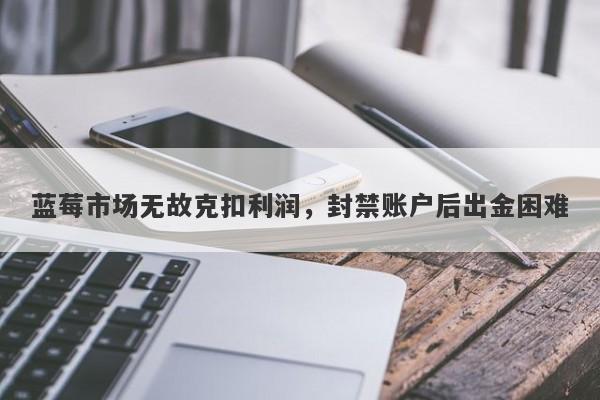 蓝莓市场无故克扣利润，封禁账户后出金困难