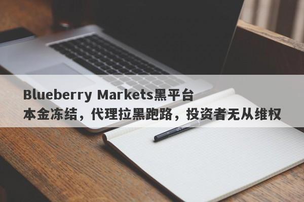 Blueberry Markets黑平台本金冻结，代理拉黑跑路，投资者无从维权