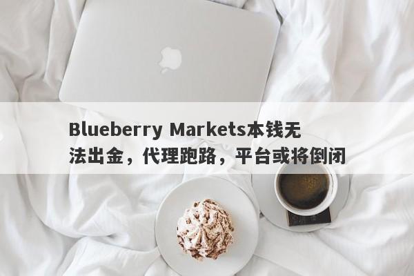 Blueberry Markets本钱无法出金，代理跑路，平台或将倒闭