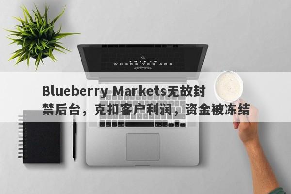 Blueberry Markets无故封禁后台，克扣客户利润，资金被冻结