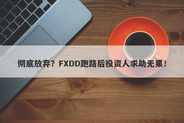 彻底放弃？FXDD跑路后投资人求助无果！