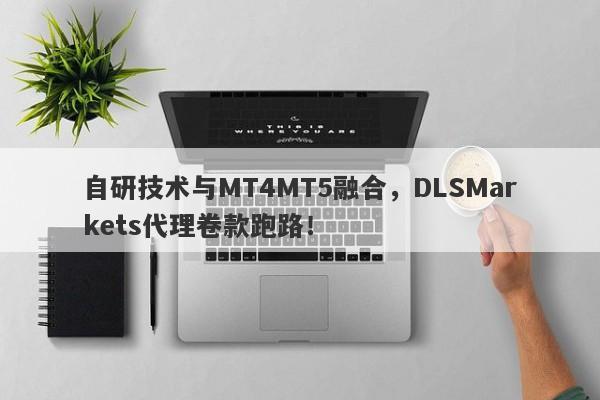 自研技术与MT4MT5融合，DLSMarkets代理卷款跑路！