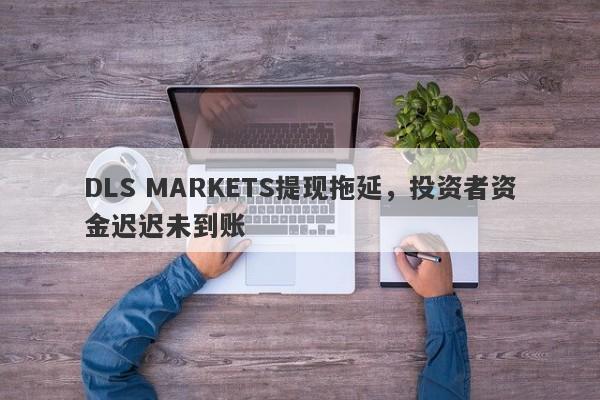 DLS MARKETS提现拖延，投资者资金迟迟未到账