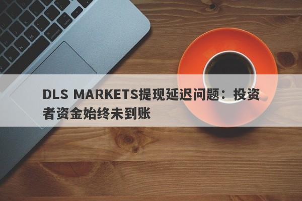 DLS MARKETS提现延迟问题：投资者资金始终未到账