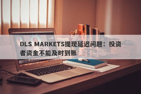 DLS MARKETS提现延迟问题：投资者资金不能及时到账