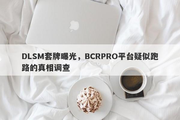 DLSM套牌曝光，BCRPRO平台疑似跑路的真相调查